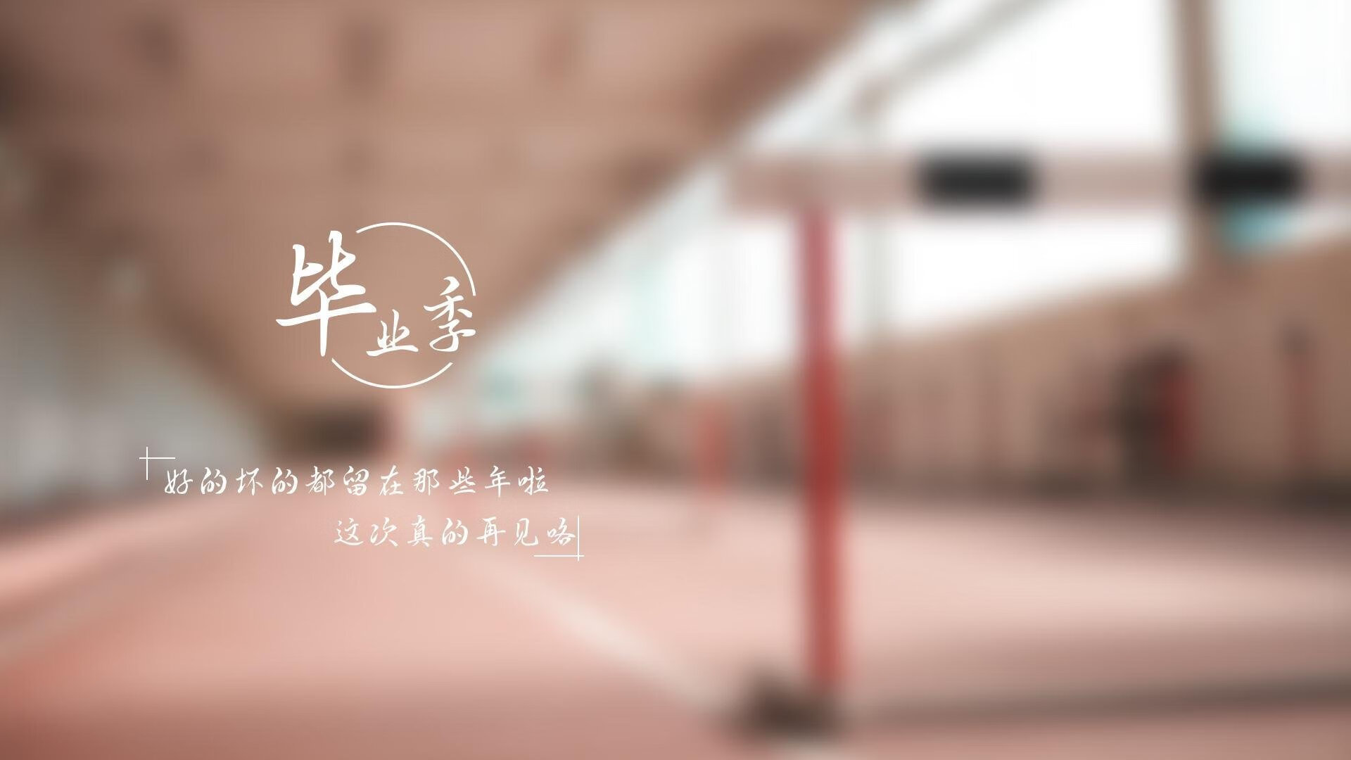 羽坛博弈场,当团队长城遭遇孤胆狙击