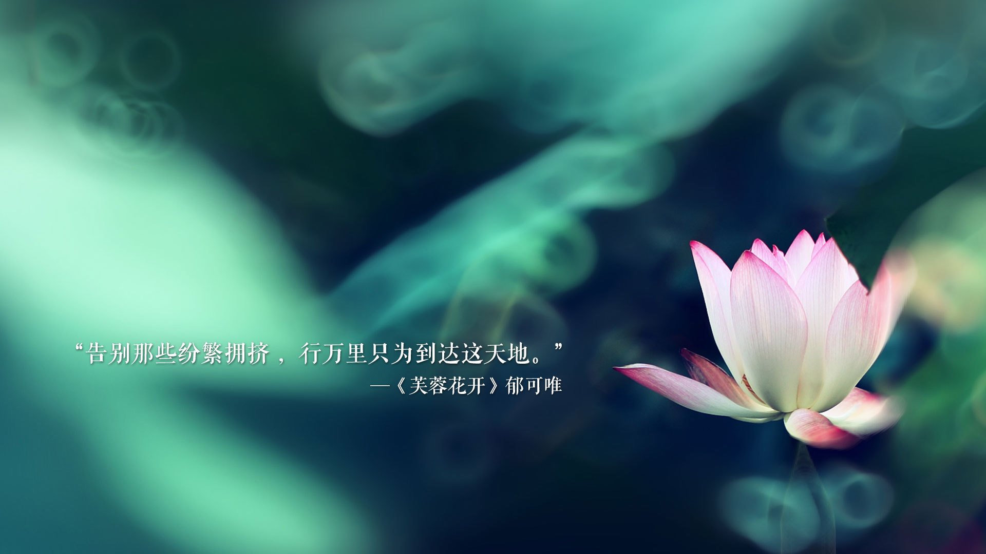 跨时空战报,当欧冠决赛遇见CBA德比,广东队化身绿茵开拓者征服赛场
