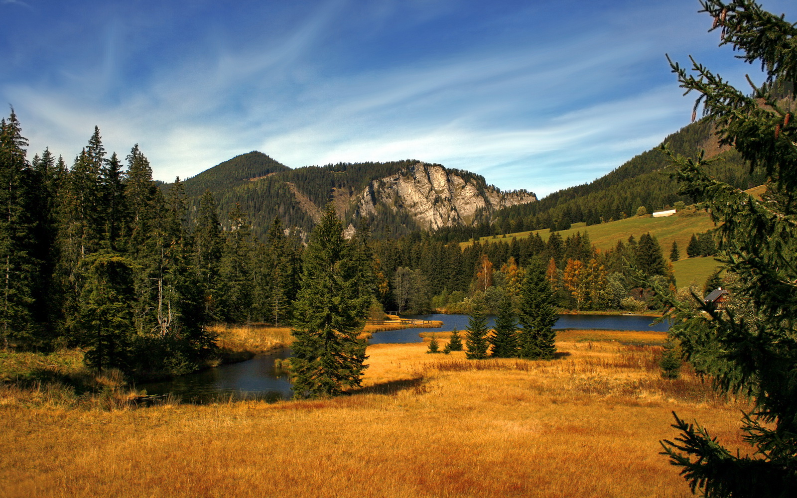 高原上的流星雨,戈麦斯爆发,玻利维亚以血性足球血拼国际米兰