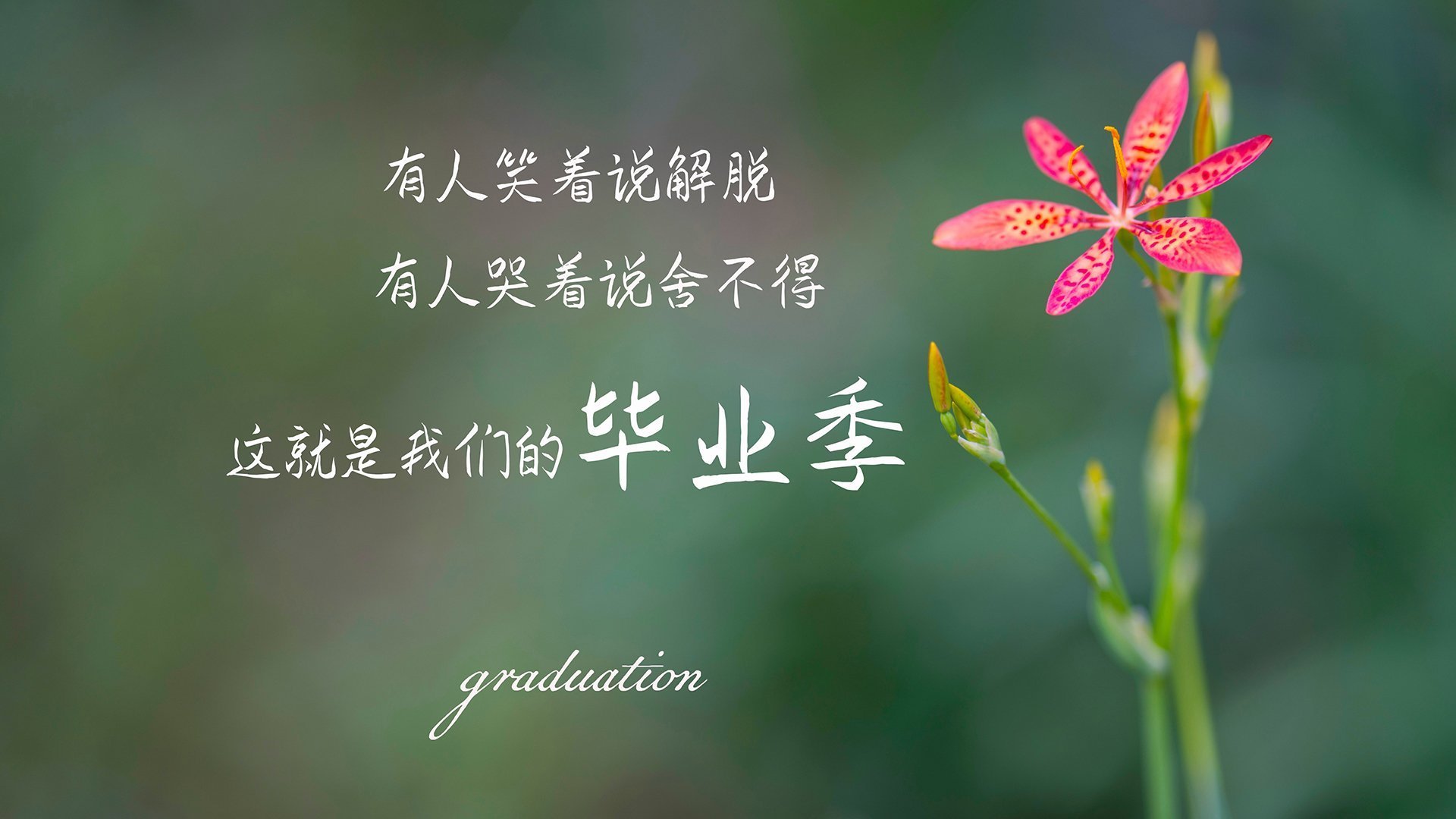 亚特兰大的雨夜，孙兴慜的刀锋，一场关于唯一性的现代足球解剖