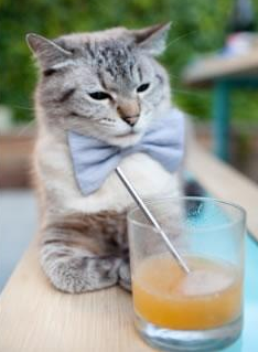 一瞬成王,本泽马于静默处点亮的欧冠之夜