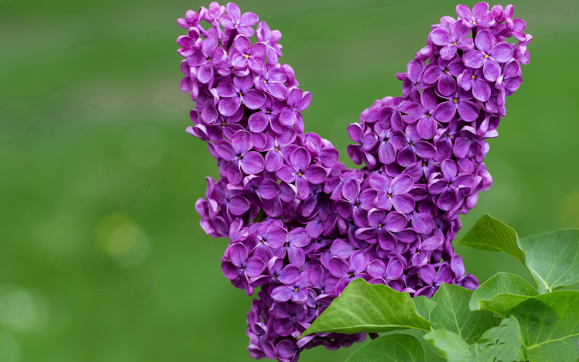 时空交错的胜利，当2026世界杯战鼓点燃迈阿密生死夜