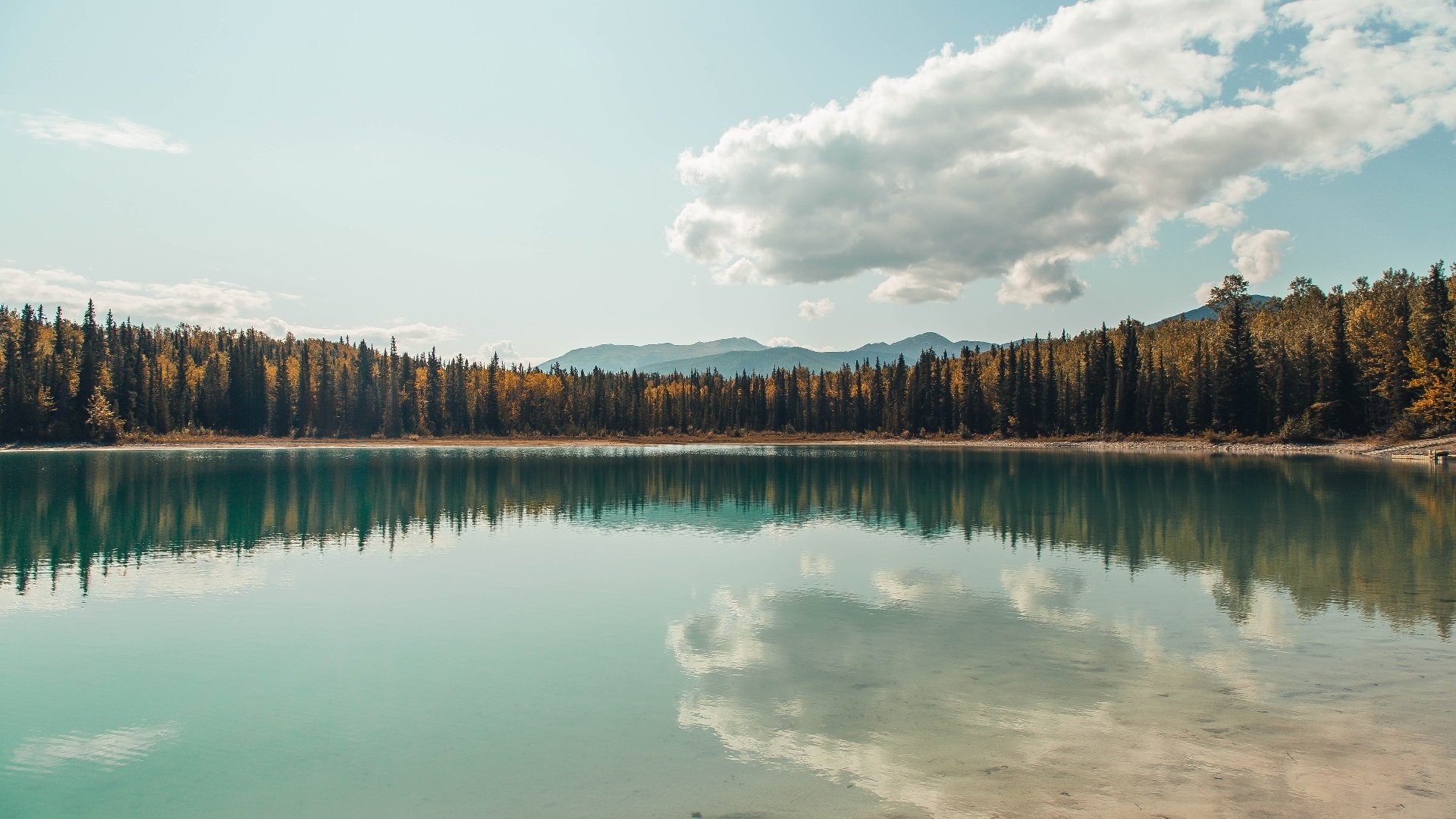 魔术师与棋盘，当厄德高出现在中卡之战