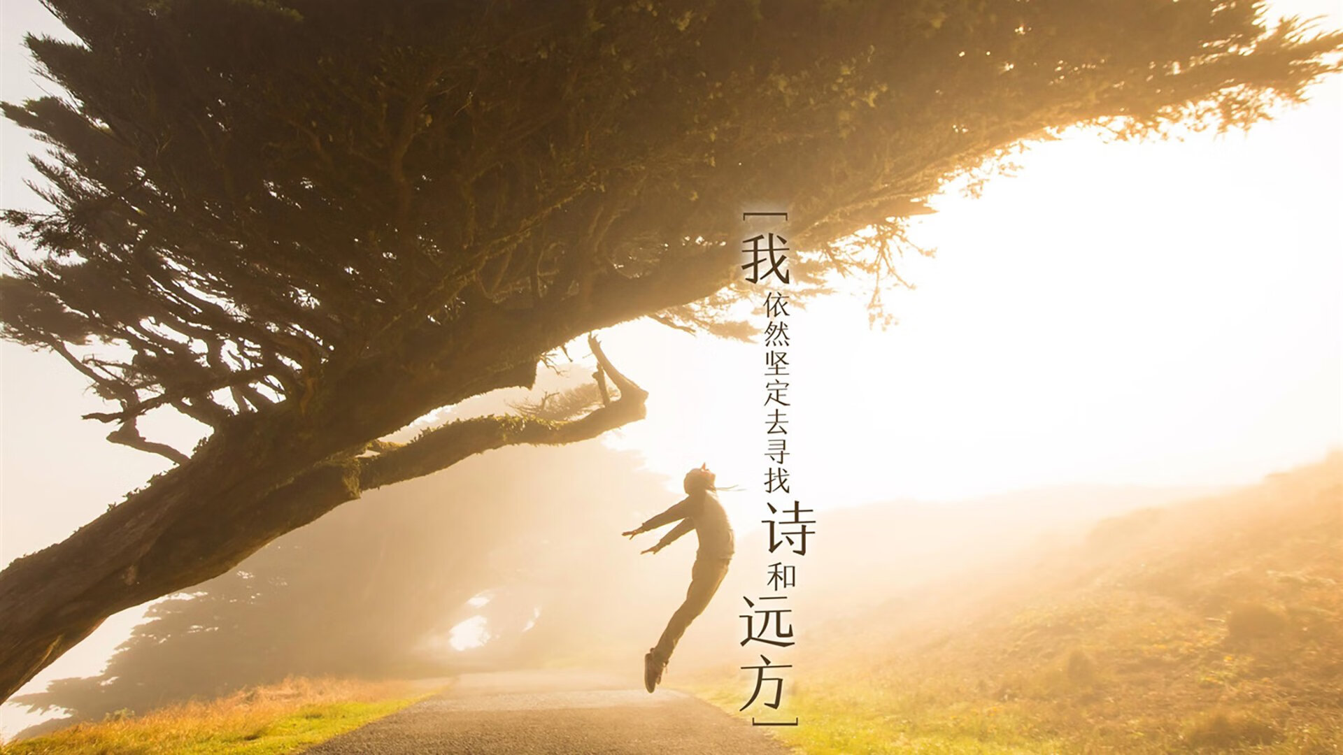 秩序之巅与颠覆之夜，当德甲王座之争遇见NBA的爆冷美学