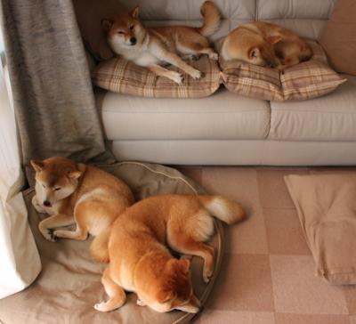 从0到1的悬念，那个夜晚，世界终于看清巴尔韦德的脸