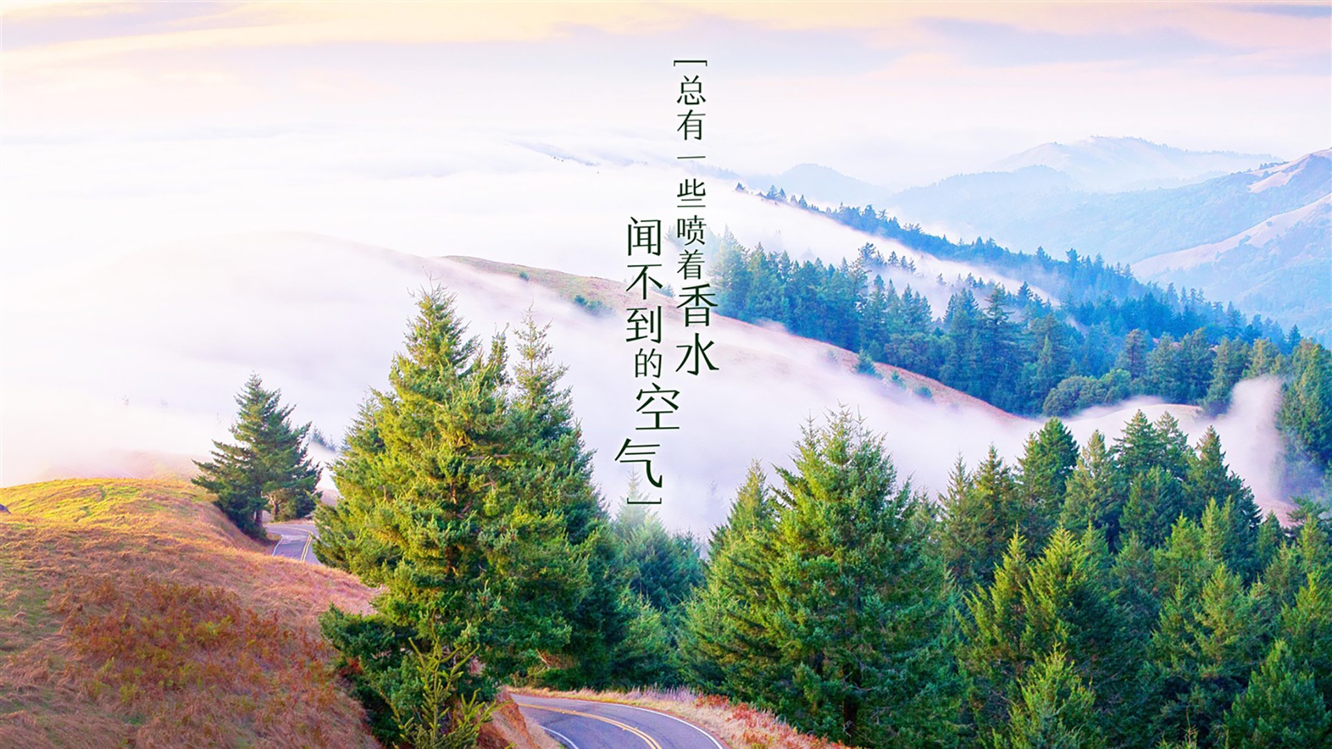 宿命的交错,2026世界杯C组,日本以静制动,姆巴佩以光破夜