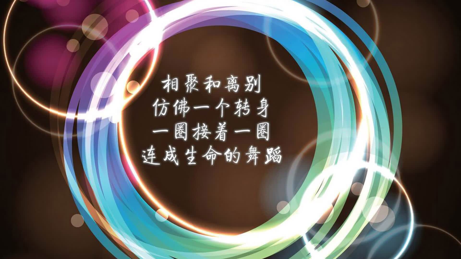 橙衣之壁与锋刃之舞,2026世界杯D组焦点战,荷兰如何以体系压制罗马尼亚,莱万多夫斯基用一人之力逆写比赛剧本